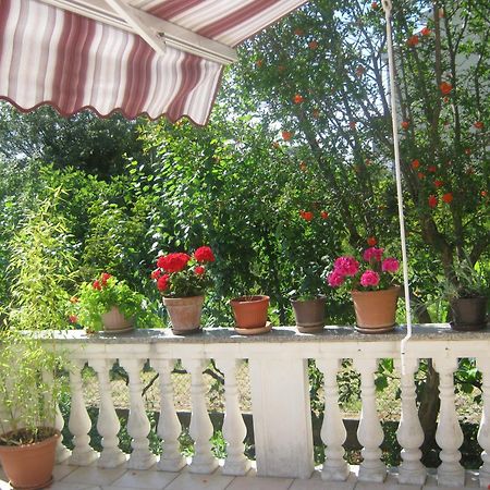 Apartments Grzunov Задар Номер фото